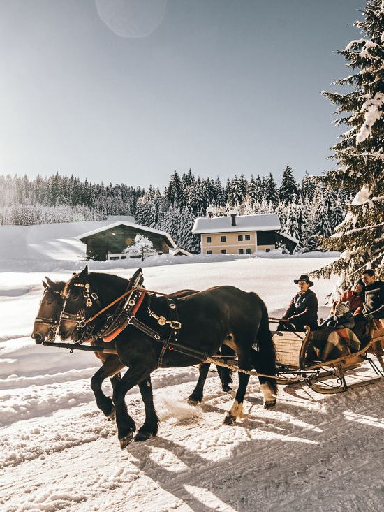 Pferdeschlittenfahrt im Winter © Salzburger Land Tourismus, Michael Grössinger