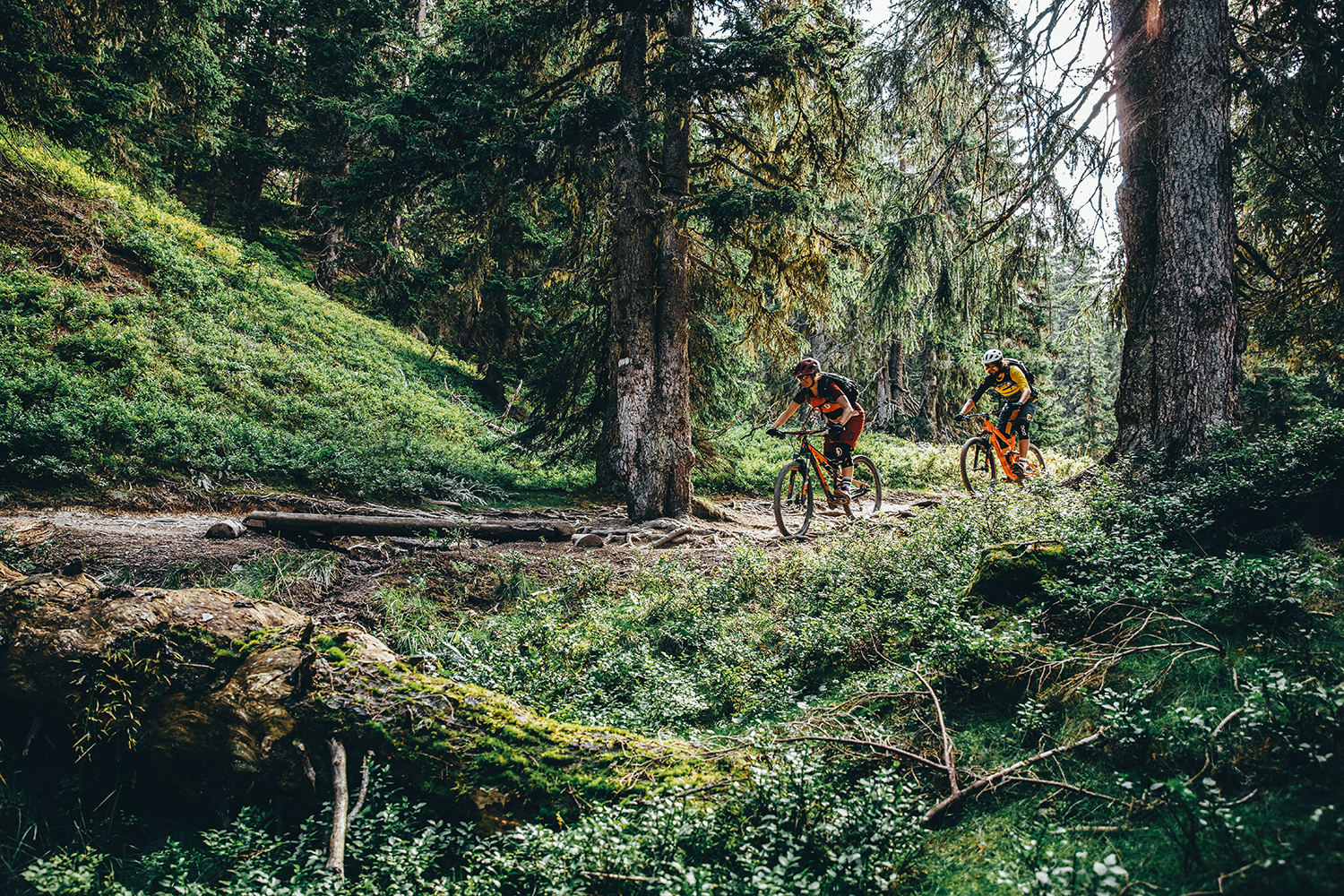 Radfahren im Wald © Salzburger Land Tourismus